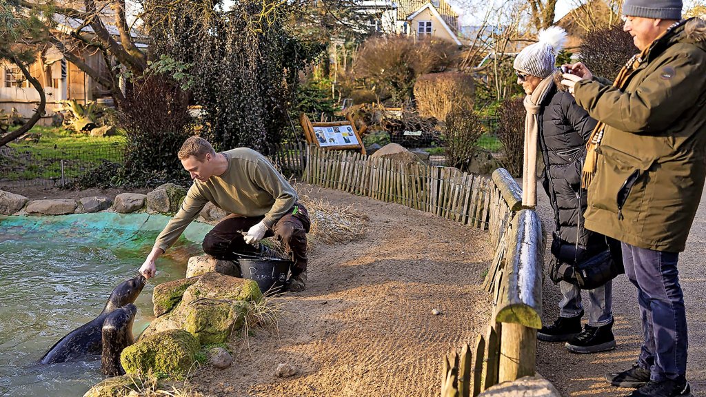 Zoo Arche Noak Grömitz